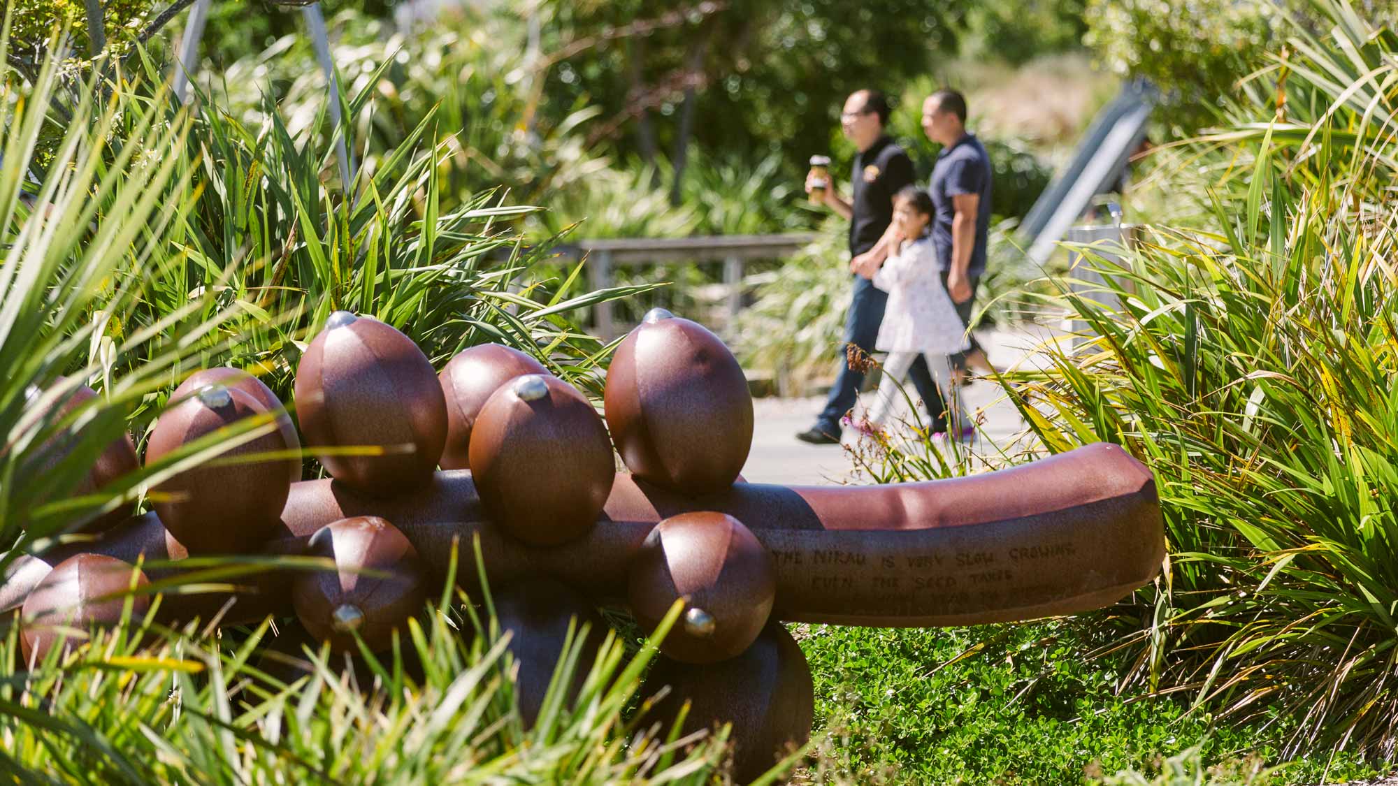 Hobsonville Point Park and Playground